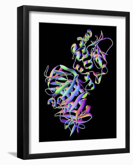 Shiga Toxin From E. Coli-PASIEKA-Framed Photographic Print