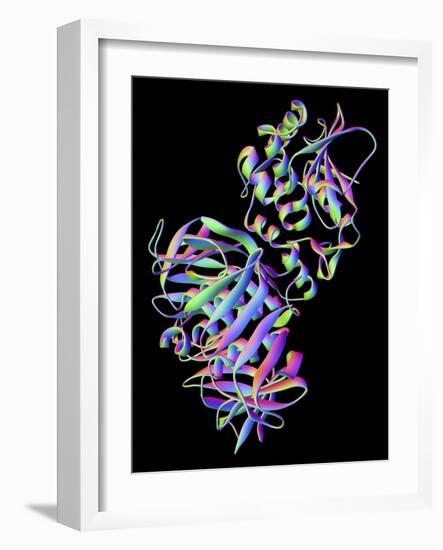 Shiga Toxin From E. Coli-PASIEKA-Framed Photographic Print