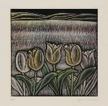 Tulips-Shigenu Narikawa-Limited Edition