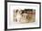 Shih Tzu and Lhasa Apso (Right) Puppies-null-Framed Photographic Print