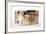 Shih Tzu and Lhasa Apso (Right) Puppies-null-Framed Photographic Print