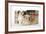 Shih Tzu and Lhasa Apso (Right) Puppies-null-Framed Photographic Print