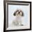 Shih Tzu Bitch Sitting Down-Jane Burton-Framed Photographic Print