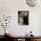 Shih Tzu Looking Up-Adriano Bacchella-Photographic Print displayed on a wall