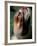 Shih Tzu Looking Up-Adriano Bacchella-Framed Photographic Print