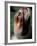 Shih Tzu Looking Up-Adriano Bacchella-Framed Photographic Print