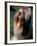 Shih Tzu Looking Up-Adriano Bacchella-Framed Photographic Print