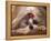 Shih Tzu Lying Down with Hair Tied Up-Adriano Bacchella-Framed Premier Image Canvas