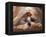 Shih Tzu Lying Down with Hair Tied Up-Adriano Bacchella-Framed Premier Image Canvas