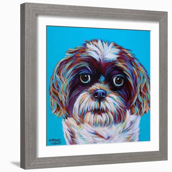 Shih Tzu on Blue-Carolee Vitaletti-Framed Art Print