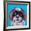 Shih Tzu on Blue-Carolee Vitaletti-Framed Art Print