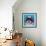 Shih Tzu on Blue-Carolee Vitaletti-Framed Art Print displayed on a wall