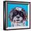 Shih Tzu on Blue-Carolee Vitaletti-Framed Art Print