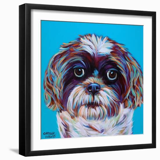 Shih Tzu on Blue-Carolee Vitaletti-Framed Art Print