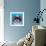 Shih Tzu on Blue-Carolee Vitaletti-Framed Art Print displayed on a wall