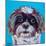 Shih Tzu on Blue-Carolee Vitaletti-Mounted Art Print