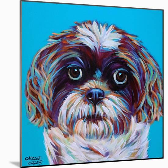 Shih Tzu on Blue-Carolee Vitaletti-Mounted Art Print