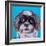 Shih Tzu on Blue-Carolee Vitaletti-Framed Art Print