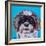 Shih Tzu on Blue-Carolee Vitaletti-Framed Art Print