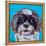 Shih Tzu on Blue-Carolee Vitaletti-Framed Stretched Canvas