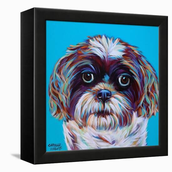 Shih Tzu on Blue-Carolee Vitaletti-Framed Stretched Canvas