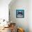 Shih Tzu on Blue-Carolee Vitaletti-Framed Stretched Canvas displayed on a wall