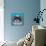 Shih Tzu on Blue-Carolee Vitaletti-Framed Stretched Canvas displayed on a wall