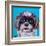 Shih Tzu on Blue-Carolee Vitaletti-Framed Art Print