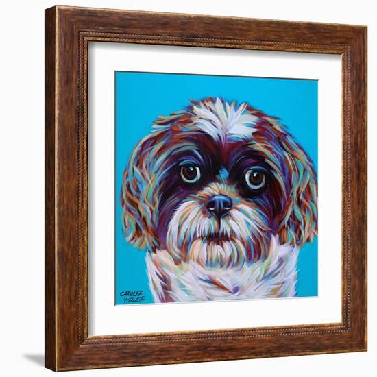 Shih Tzu on Blue-Carolee Vitaletti-Framed Art Print