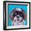 Shih Tzu on Blue-Carolee Vitaletti-Framed Art Print