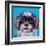 Shih Tzu on Blue-Carolee Vitaletti-Framed Art Print