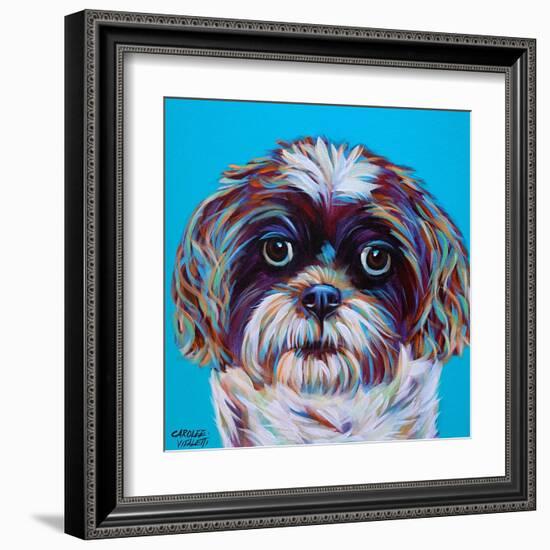 Shih Tzu on Blue-Carolee Vitaletti-Framed Art Print