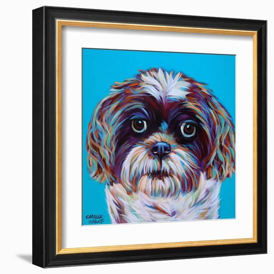 Shih Tzu on Blue-Carolee Vitaletti-Framed Art Print