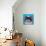 Shih Tzu on Blue-Carolee Vitaletti-Premium Giclee Print displayed on a wall
