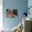 Shih Tzu Portrait with Hair Tied Up, Head Tilted to One Side-Adriano Bacchella-Photographic Print displayed on a wall