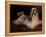 Shih Tzu Portrait with Hair Tied Up, Lying on Drawers-Adriano Bacchella-Framed Premier Image Canvas