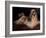 Shih Tzu Portrait with Hair Tied Up, Lying on Drawers-Adriano Bacchella-Framed Photographic Print