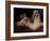 Shih Tzu Portrait with Hair Tied Up, Lying on Drawers-Adriano Bacchella-Framed Photographic Print