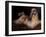 Shih Tzu Portrait with Hair Tied Up, Lying on Drawers-Adriano Bacchella-Framed Photographic Print