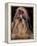 Shih Tzu Portrait with Hair Tied Up, Showing Length of Facial Hair-Adriano Bacchella-Framed Premier Image Canvas