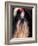 Shih Tzu Portrait with Hair Tied Up-Adriano Bacchella-Framed Photographic Print