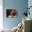 Shih Tzu Portrait with Hair Tied Up-Adriano Bacchella-Photographic Print displayed on a wall