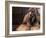 Shih Tzu Portrait with Hair Tied Up-Adriano Bacchella-Framed Photographic Print