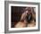 Shih Tzu Portrait with Hair Tied Up-Adriano Bacchella-Framed Photographic Print