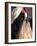 Shih Tzu Profile with Hair Tied Up-Adriano Bacchella-Framed Photographic Print