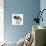 Shih Tzu Pup, 7 Weeks Old, Sitting Down-Jane Burton-Photographic Print displayed on a wall