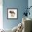 Shih Tzu Pup, 7 Weeks Old, Sitting Down-Jane Burton-Framed Photographic Print displayed on a wall