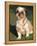 Shih Tzu Puppy Sitting on Grass-Adriano Bacchella-Framed Premier Image Canvas