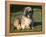 Shih Tzu Puppy Sitting on Grass-Adriano Bacchella-Framed Premier Image Canvas