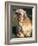 Shih Tzu Puppy Sitting on Grass-Adriano Bacchella-Framed Photographic Print